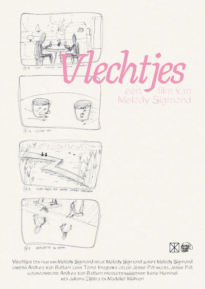 Poster do Filme Vlechtjes