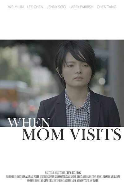 movie poster for When Mom Visits