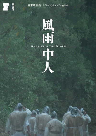 Poster do Filme 風雨中人