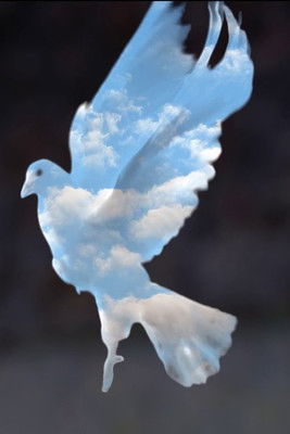 Poster do Filme Daybreak