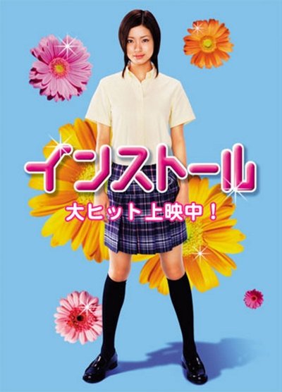 Poster for the movie Install