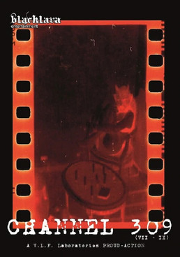 Poster do Filme Channel 309 (7-9)