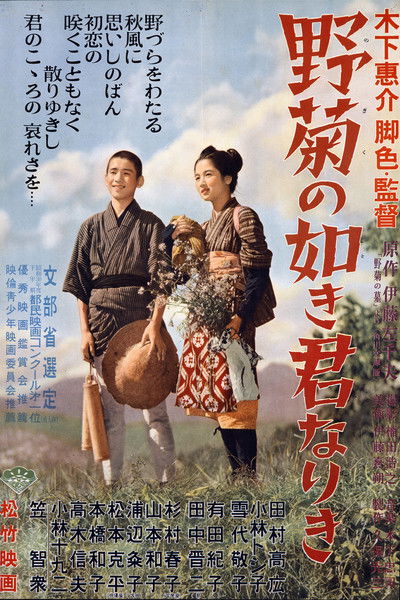 Poster do Filme 野菊の如き君なりき