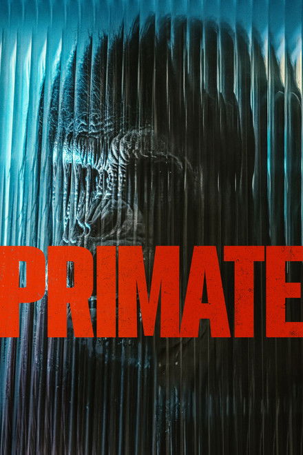 Movie poster of "Primate"