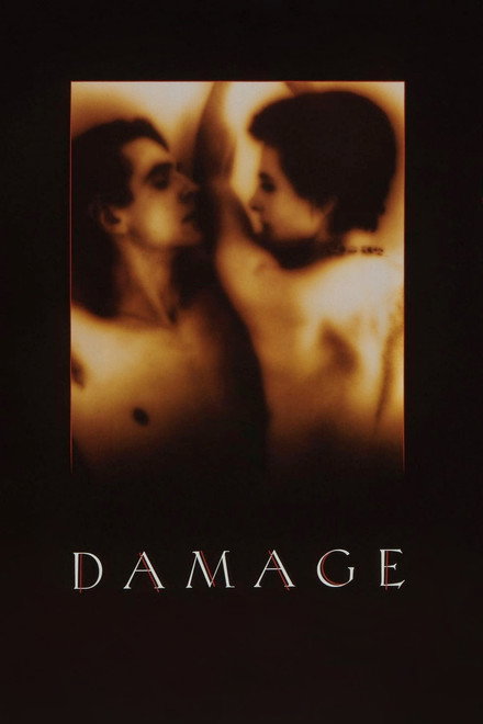 Movie poster of "Damage"