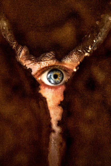 Return to Silent Hill