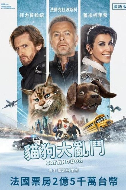 猫狗大乱斗