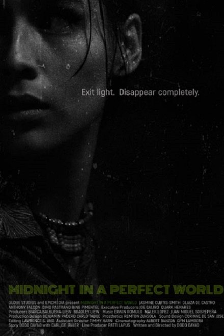 Midnight in a Perfect World