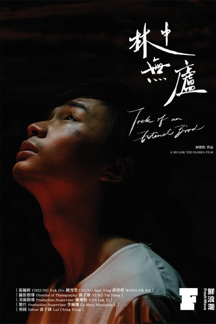 林中無廬
