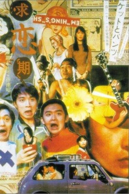 求恋期