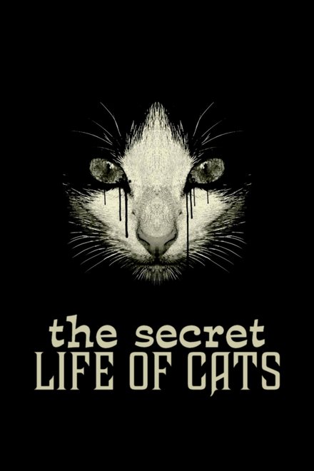 猫的秘密生活