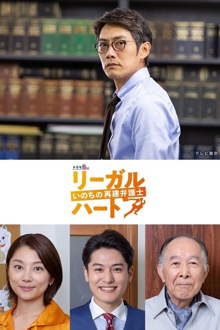 法律之心：重建生命的律师