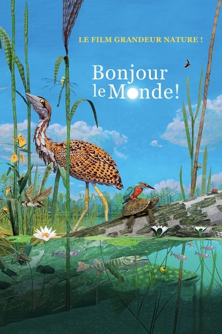 Bonjour le Monde! streaming