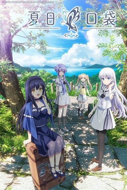 夏日口袋