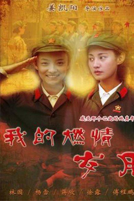 我的燃情岁月
