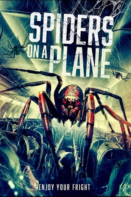 Spiders on a Plane