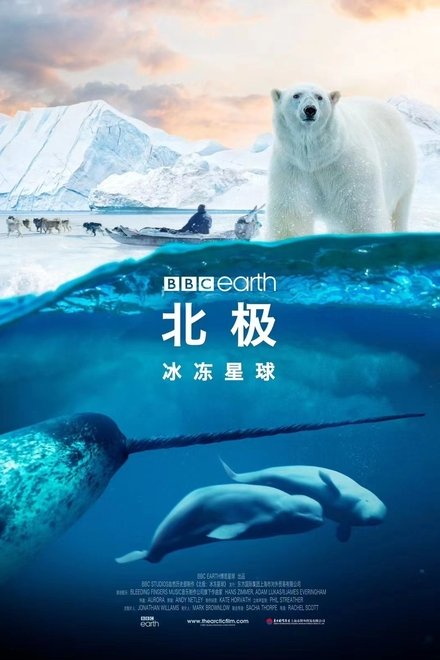 北极：冰冻星球