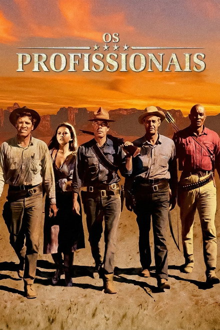 Os Profissionais