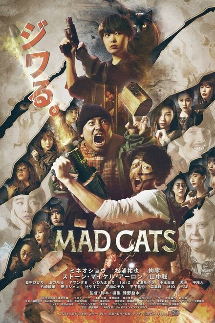 猫无赦