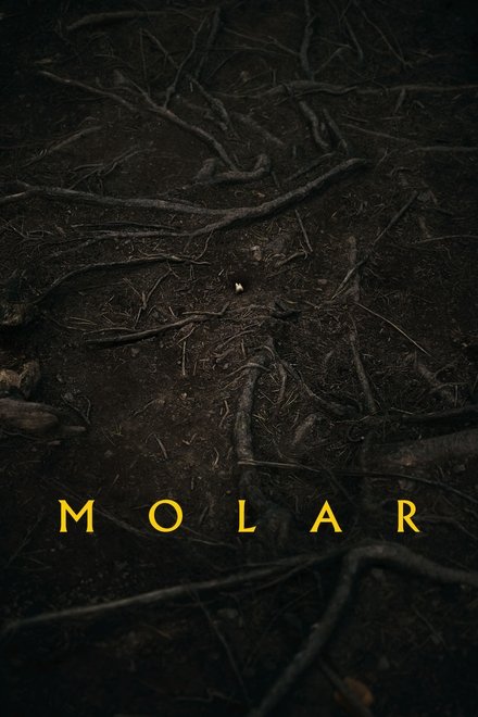 Molar