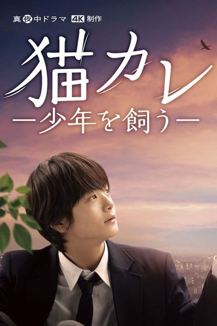 猫男友 我养了个少年