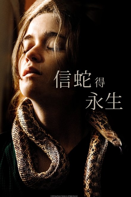 追随者