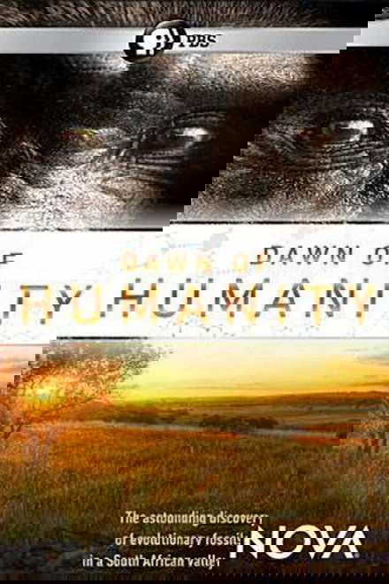 Dawn of Humanity