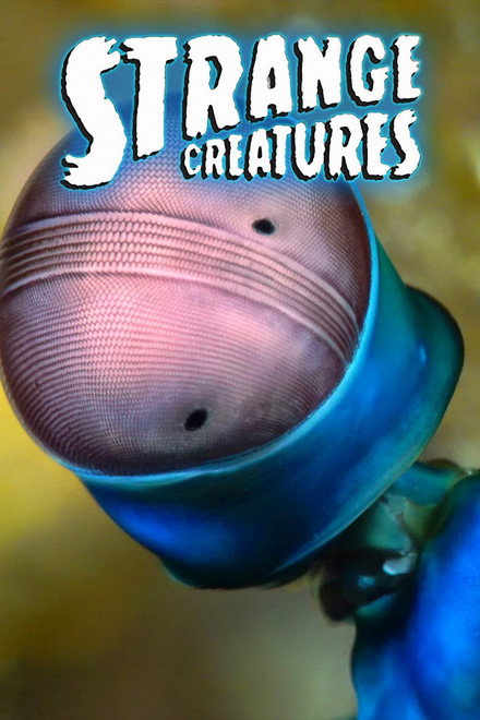 Criaturas Estranhas