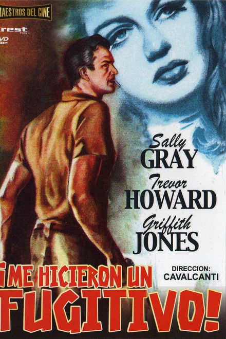 They Made Me a Fugitive