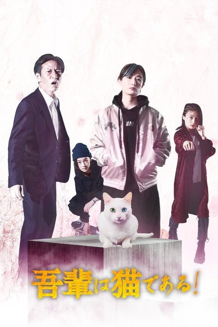 吾輩は猫である!