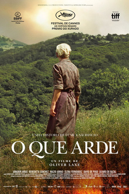 O que arde