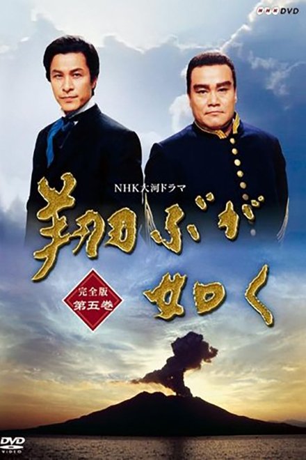宛如飞翔