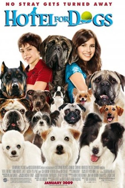 A Home for Everyone: The Making of 'Hotel for Dogs'