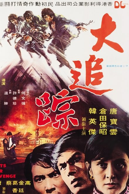 大追踪