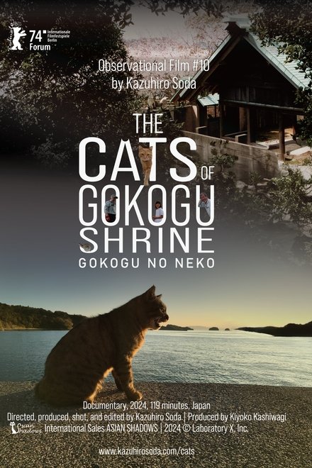 Die Katzen vom Gokogu-Schrein