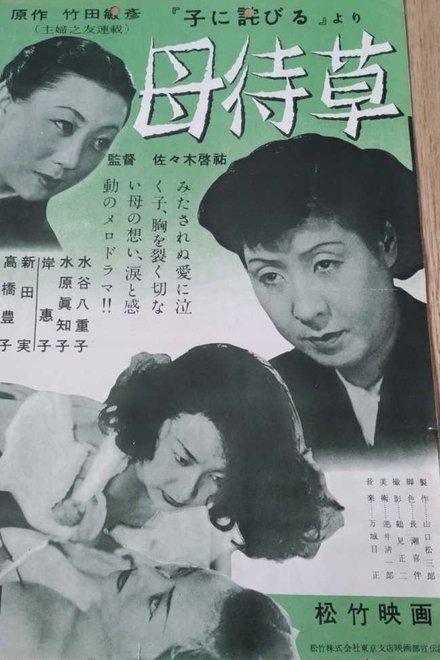 母待草