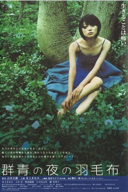 夜晚的蓝色羽毛毯