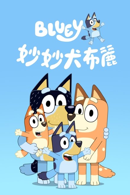 布鲁伊