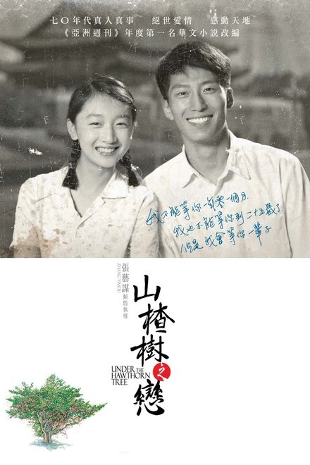 山楂树之恋