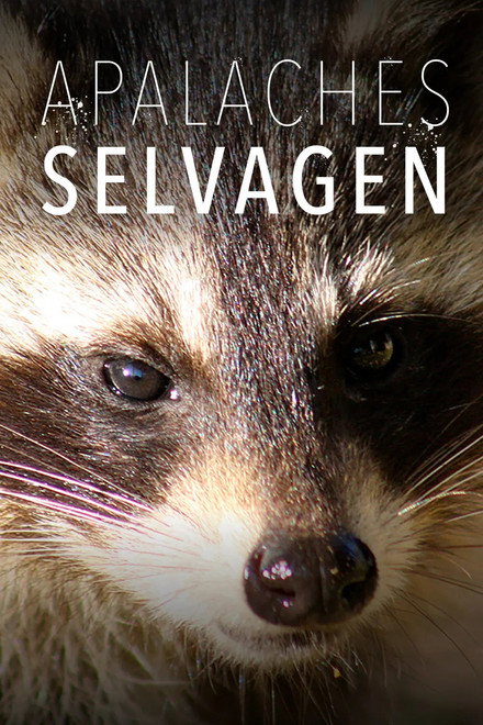 Apalaches Selvagens