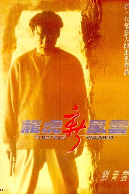 龙虎新风云