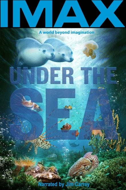 IMAX: Under The Sea 3D - Dokumentarfilm / 2013 / ab 0 Jahre