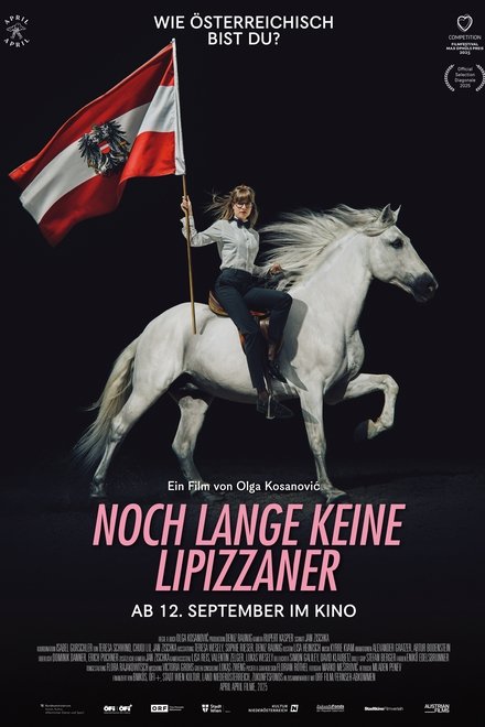Noch lange keine Lipizzaner
