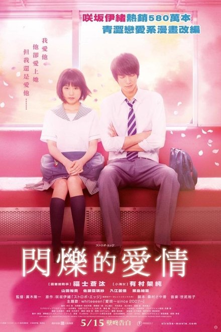 闪烁的爱情