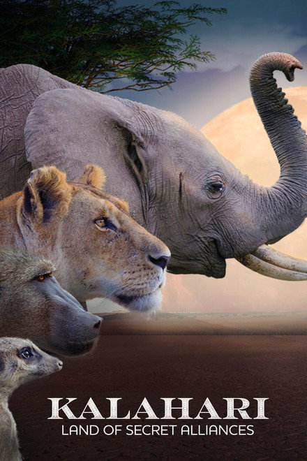 Kalahari: Terra das Alianças Secretas