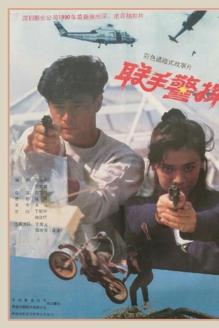 联手警探