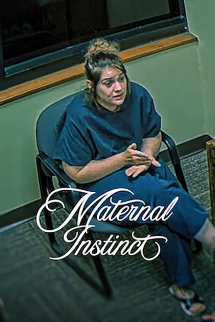 Affiche : Maternal Instinct : L'&eacute;nigme Taylor Parker