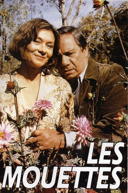 Les Mouettes