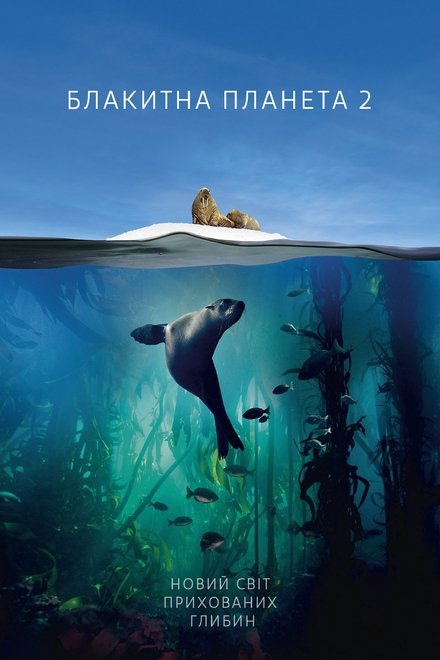 blue planet ii season 2 episode 5 blue planet ii season 2 episode 5