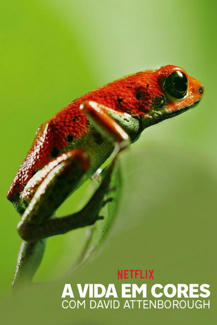 A Vida em Cores com David Attenborough